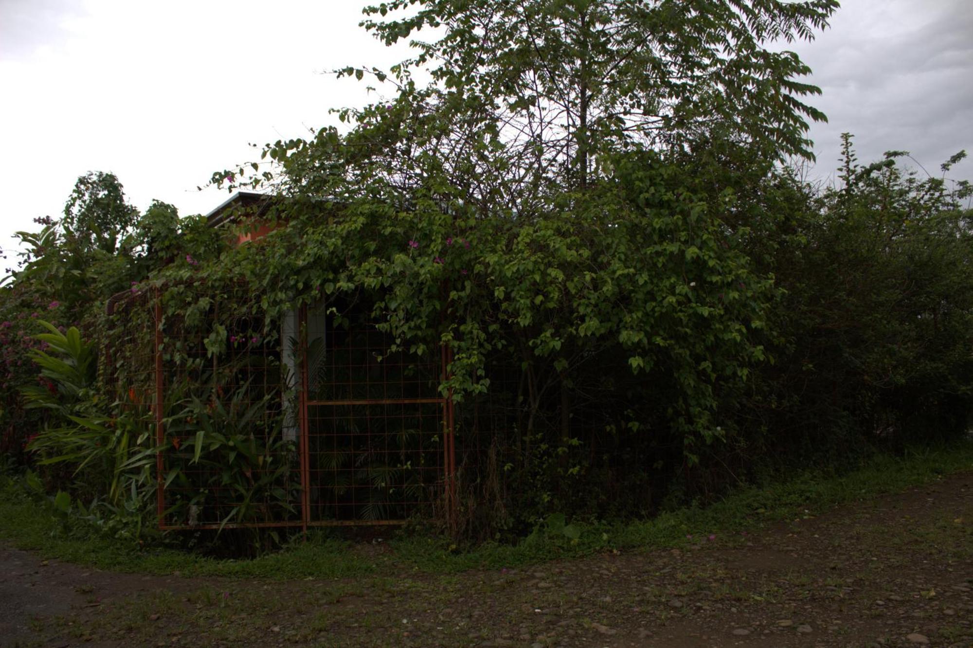 Home La Fortuna Exteriör bild